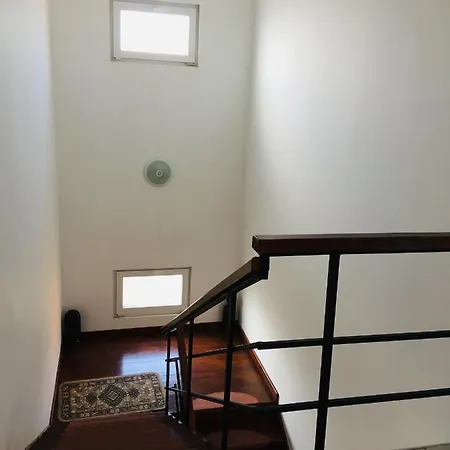Guest house Vila Steaua
