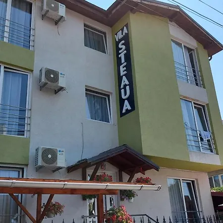 Guest house Vila Steaua *