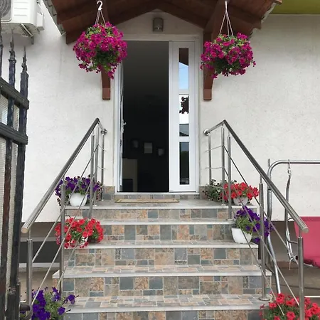 Guest house Vila Steaua Eforie Nord