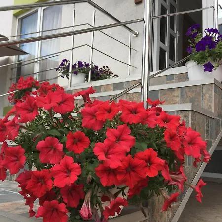 Guest house Vila Steaua *