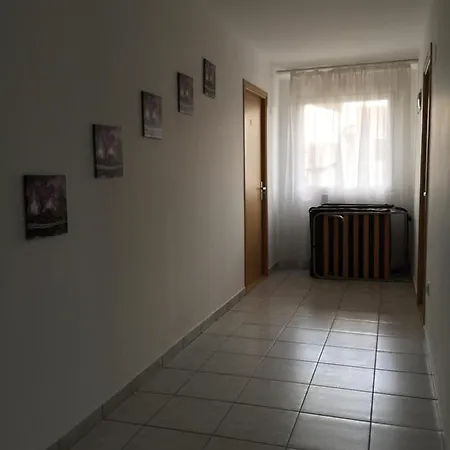 Penzion Vila Steaua *