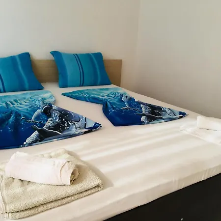 Guest house Vila Steaua *